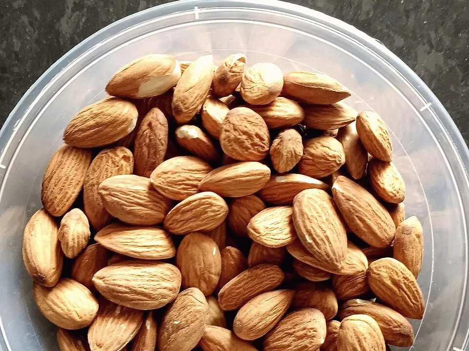 A close-up overhead view of shelled almonds piled together in a container.
