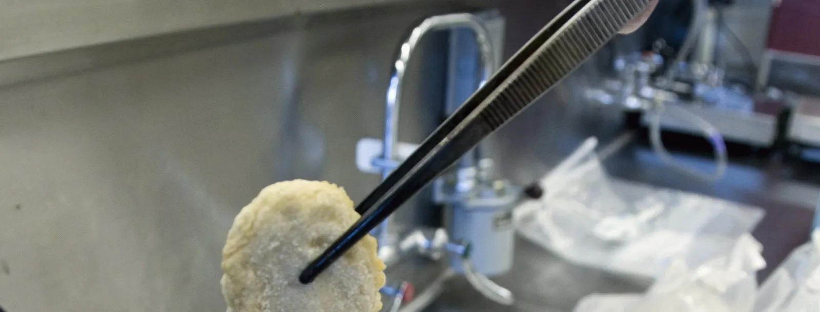 Tweezers lifting a food sample into a steel inspection cup on a lab bench, sample bags blurred behind.